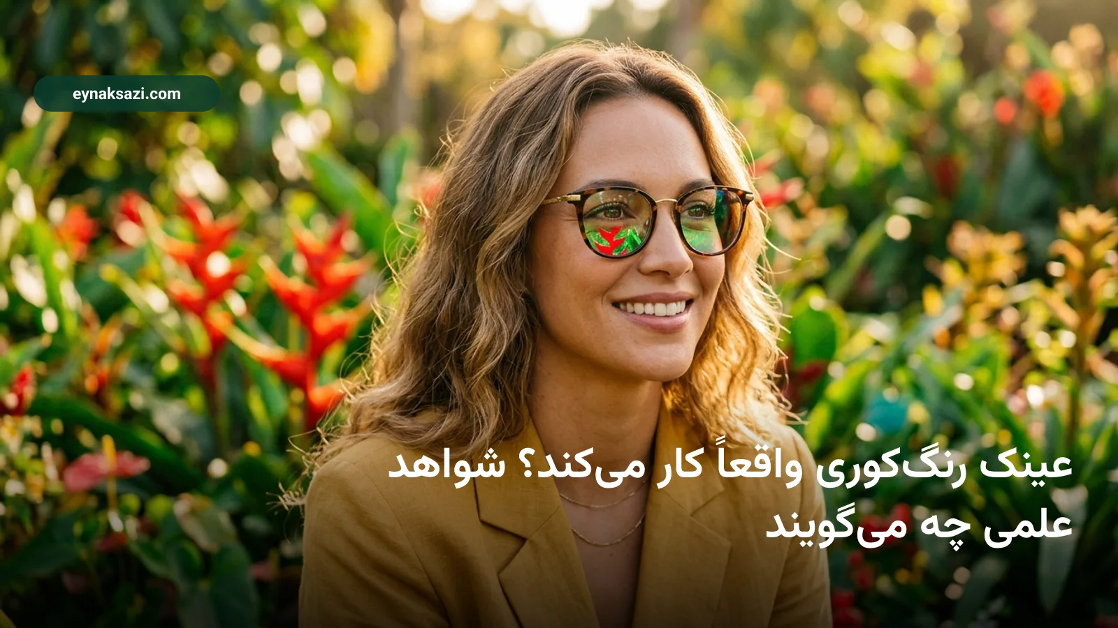 عینک رنگ‌کوری واقعاً کار می‌کند؟ شواهد علمی چه می‌گویند